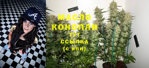 гашик Гусев