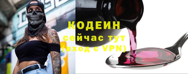 гашик Гусев