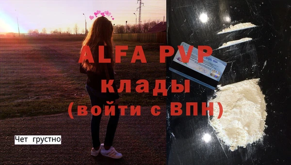 гашик Гусев